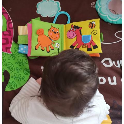 Galt Soft Book: Carticica moale Pets