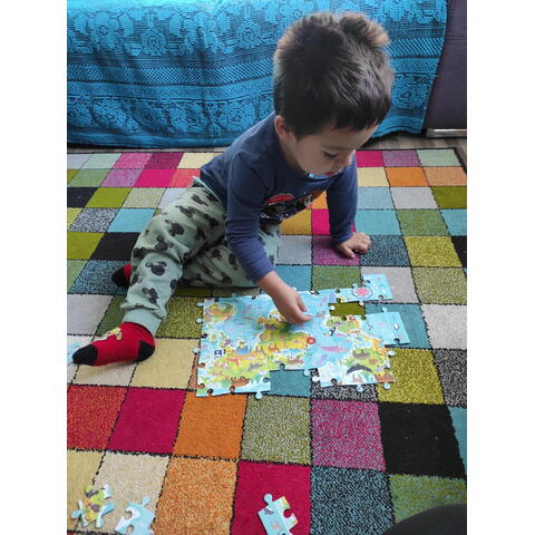 Dodo Puzzle - Harta animalelor lumii (80 piese)