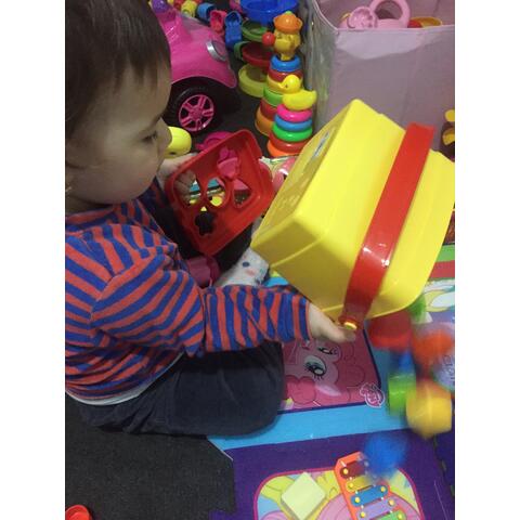 DOLU Galetusa cu sortator - 5 piese