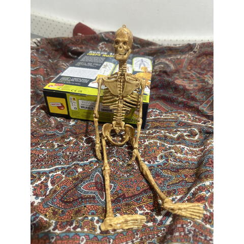 LISCIANI Experimentele micului geniu - Corpul uman