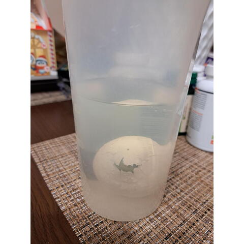 Keycraft Ou mic - Dino