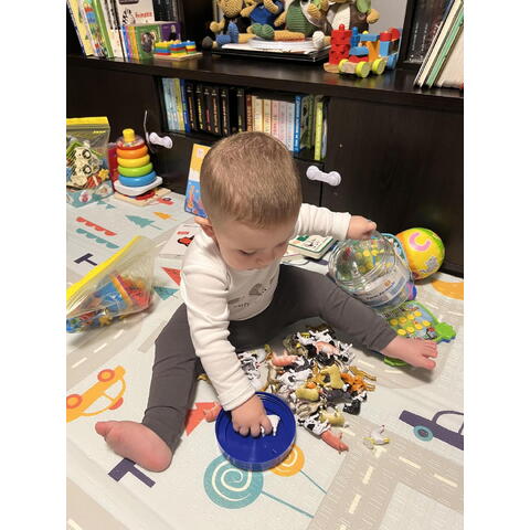 Learning Resources Set pentru sortat - Animalutele mele preferate