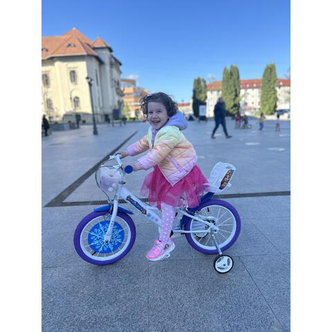 DINO BIKES Bicicleta copii 16" Craiasa Zapezii