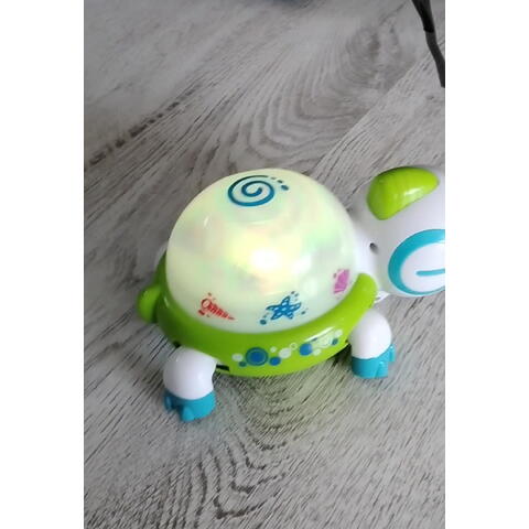 Little Learner Jucarie interactiva - Broscuta testoasa