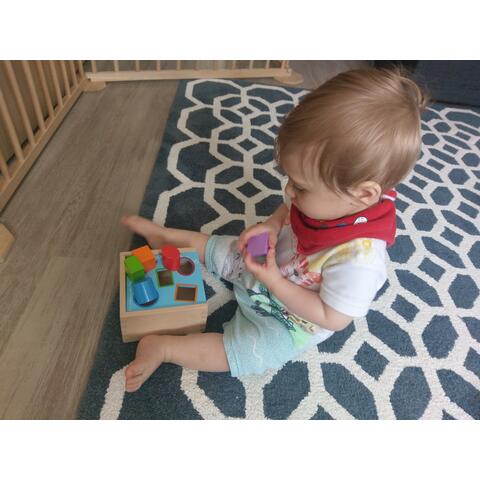 BIGJIGS Toys Prima mea cutie de sortat