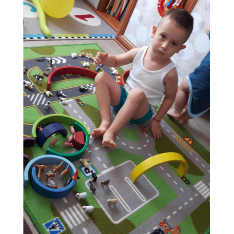 Learning Resources Set pentru sortat - Animalutele mele preferate