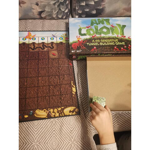 Outset Joc de cooperare - Colonia de furnici