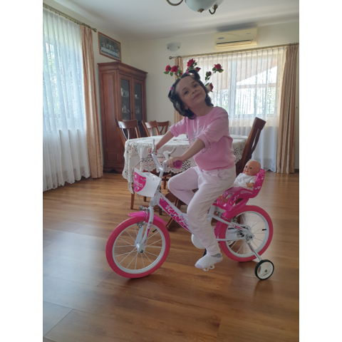 DINO BIKES Bicicleta roz cu inimioare 16"