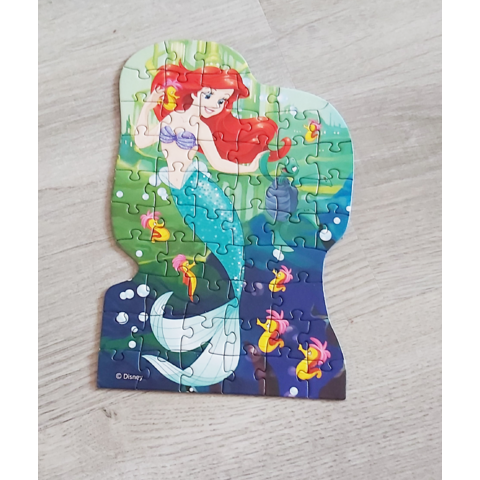 Dino Puzzle 4 in 1 - Printesele si prieteni (4 x 54 piese)