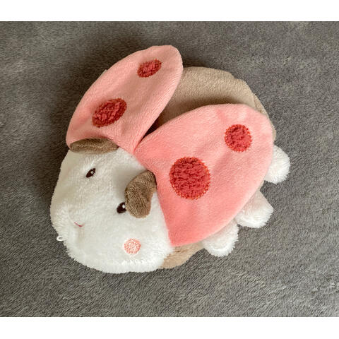 Fehn Pernuta anticolici - Gargarita