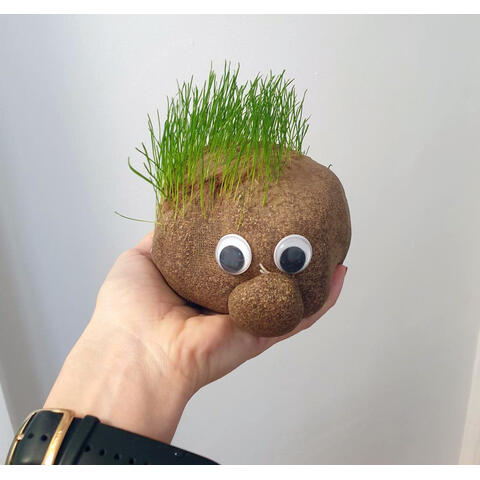 Tobar Set experimente - Cap de iarba