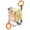 Fehn Cub din plus cu activitati - Funky