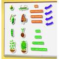 Educational Insights Magneti 3D "Ciclul vietii"