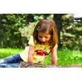 Learning Resources Borcan pentru observarea insectelor