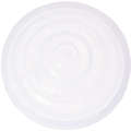 SPECTRA Filtru de protectie pentru flux invers