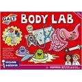 Galt Set experimente - Corpul uman