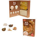 Keycraft Kit paleontologie - Descopera fosile