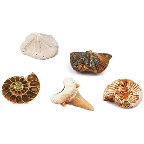 Keycraft Kit paleontologie - Descopera fosile