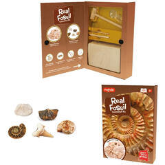 Keycraft Kit paleontologie - Descopera fosile