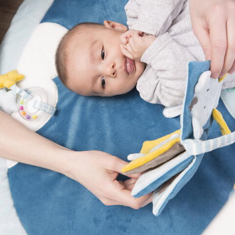 Fehn Carticica din plus pentru bebelusi - Liliac haios