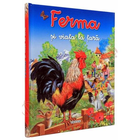 GIRASOL Ferma si viata la tara