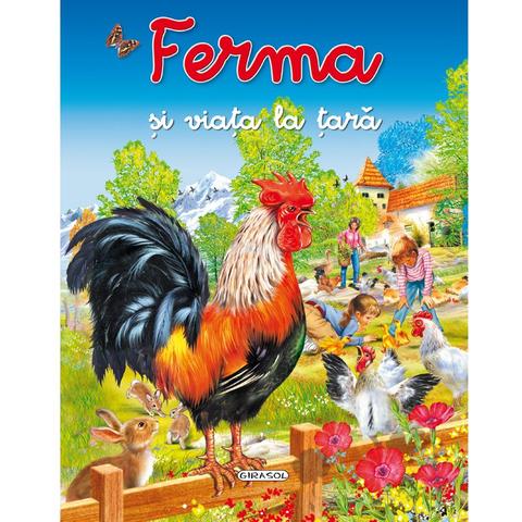 GIRASOL Ferma si viata la tara