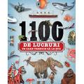 GIRASOL 1100 de lucruri pe care trebuie sa le stii