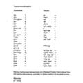 Corint Vocabularul de baza in imagini - Limba engleza