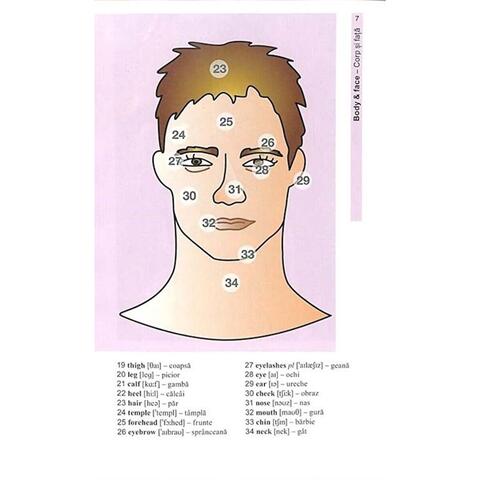 Corint Vocabularul de baza in imagini - Limba engleza