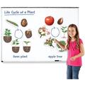 Learning Resources Ciclul vietii plantei - set magnetic