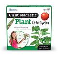 Learning Resources Ciclul vietii plantei - set magnetic