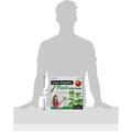 Learning Resources Ciclul vietii plantei - set magnetic