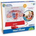 Learning Resources Macheta inima - Pomparea sangelui