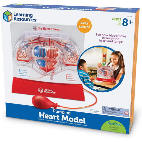 Learning Resources Macheta inima - Pomparea sangelui