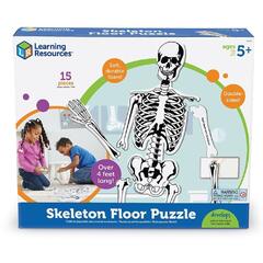 Puzzle de podea - Schelet