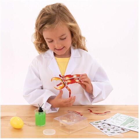 Galt Horrible Science: Gandaceii infricosatori