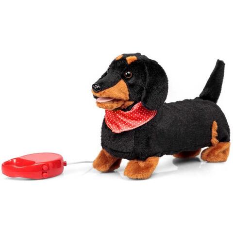 Tobar Catelus plimbaret