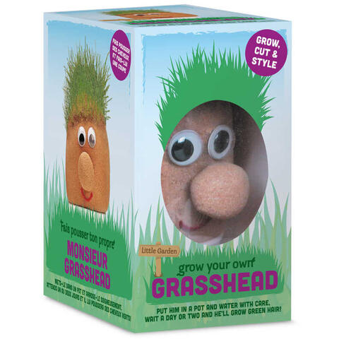 Tobar Set experimente - Cap de iarba