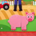 BIGJIGS Toys Joc magnetic - Distractie in livada