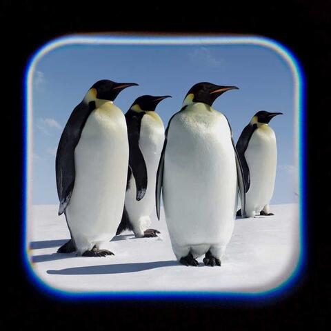 Tobar Proiector tip lanterna - Oceanul