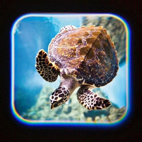 Tobar Proiector tip lanterna - Oceanul