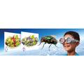 Brainstorm Set STEM - Descopera lumea prin alti ochi