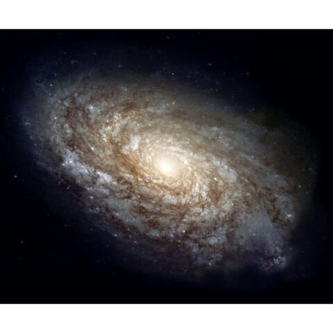 Brainstorm Proiector spatiul cosmic