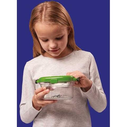 Brainstorm Observatorul pentru insecte