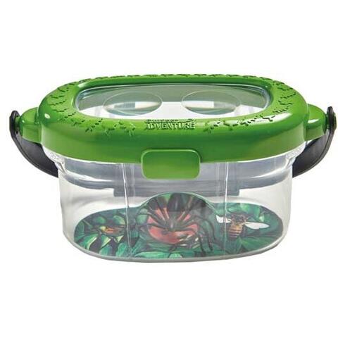 Brainstorm Observatorul pentru insecte