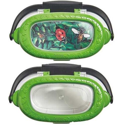 Brainstorm Observatorul pentru insecte