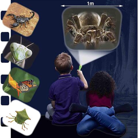 Natural History Museum Proiector tip lanterna - Insecte