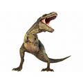 Natural History Museum Diapozitive - Dinozauri