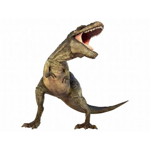 Natural History Museum Diapozitive - Dinozauri