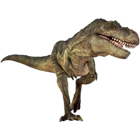 Natural History Museum Diapozitive - Dinozauri